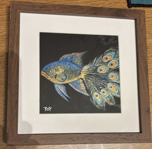 Poisson paon